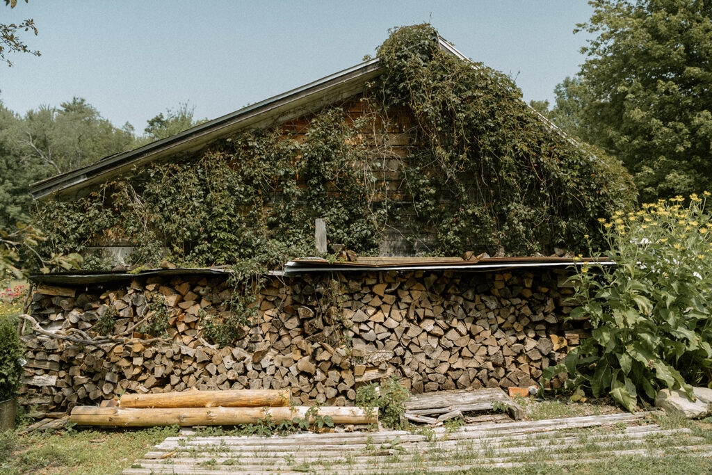 Rustic Vermont barn covered in climbing vines with stacked firewood at a cozy Airbnb wedding venue in Elmore.