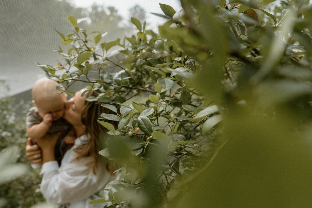 Mom kissing her baby's cheek beside a blueberry bush