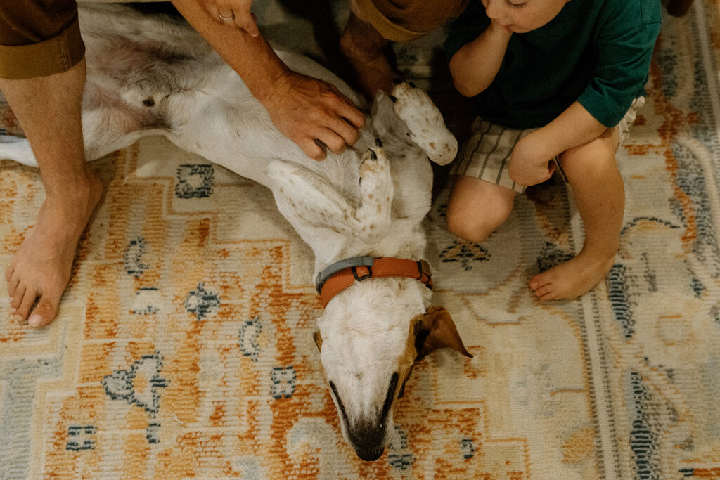 Family dog lying on patterned rug while parents and child pet the dog during playful lifestyle family photos at home.