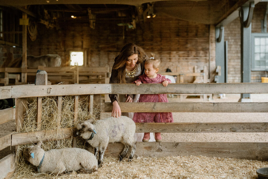 Shelburne Farms family photo location — kids laughing with goats at the Farm Barn
