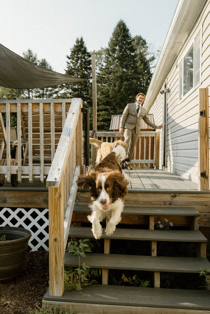 Dog running down wooden steps as the groom follows behind, a playful candid moment during a relaxed Vermont elopement day.