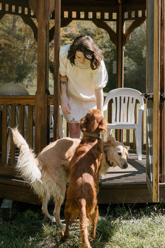 Woman bends down to greet two dogs at the entrance of a wooden gazebo during an outdoor maternity session